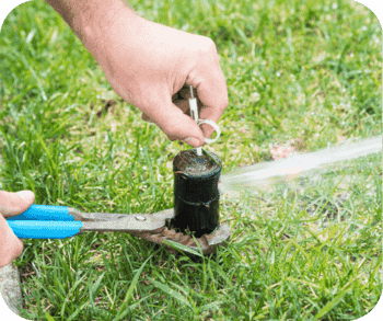 Person adjusting a lawn sprinkler head with pliers while water sprays onto the grass.